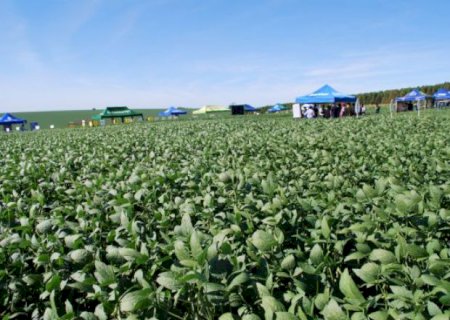 Cooperativa Lar realizou Dia de Campo no sábado
