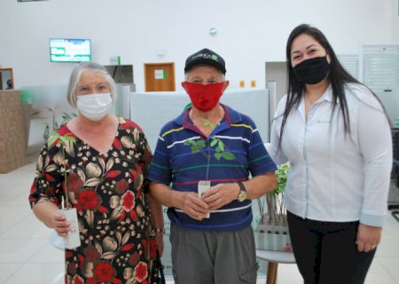 Sicredi Aral Moreira doa 180 mudas em comemoração ao Dia da Árvore