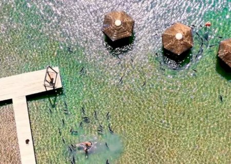 Praia da Figueira anuncia reabertura das atividades sem balneário funcionando