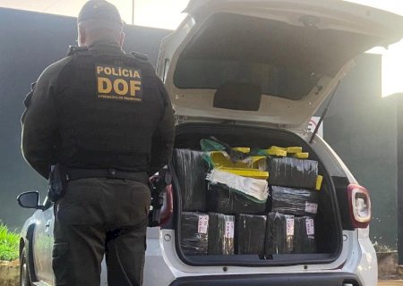 Mais de 1 tonelada de drogas é apreendida em operação na zona rural de Amambai