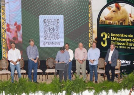 Modernização do programa Leitão Vida fortalece a competitividade da cadeia produtiva de MS