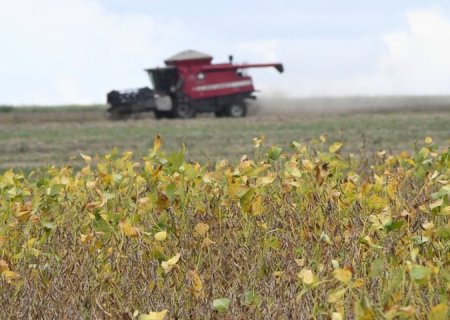 Começa plantio da maior safra de soja de Mato Grosso do Sul, com expectativa de colher 15 milhões de toneladas